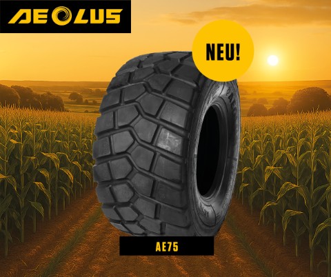 2510 AE75 afbeelding1