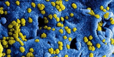 Coronavirus-Entwicklungen
