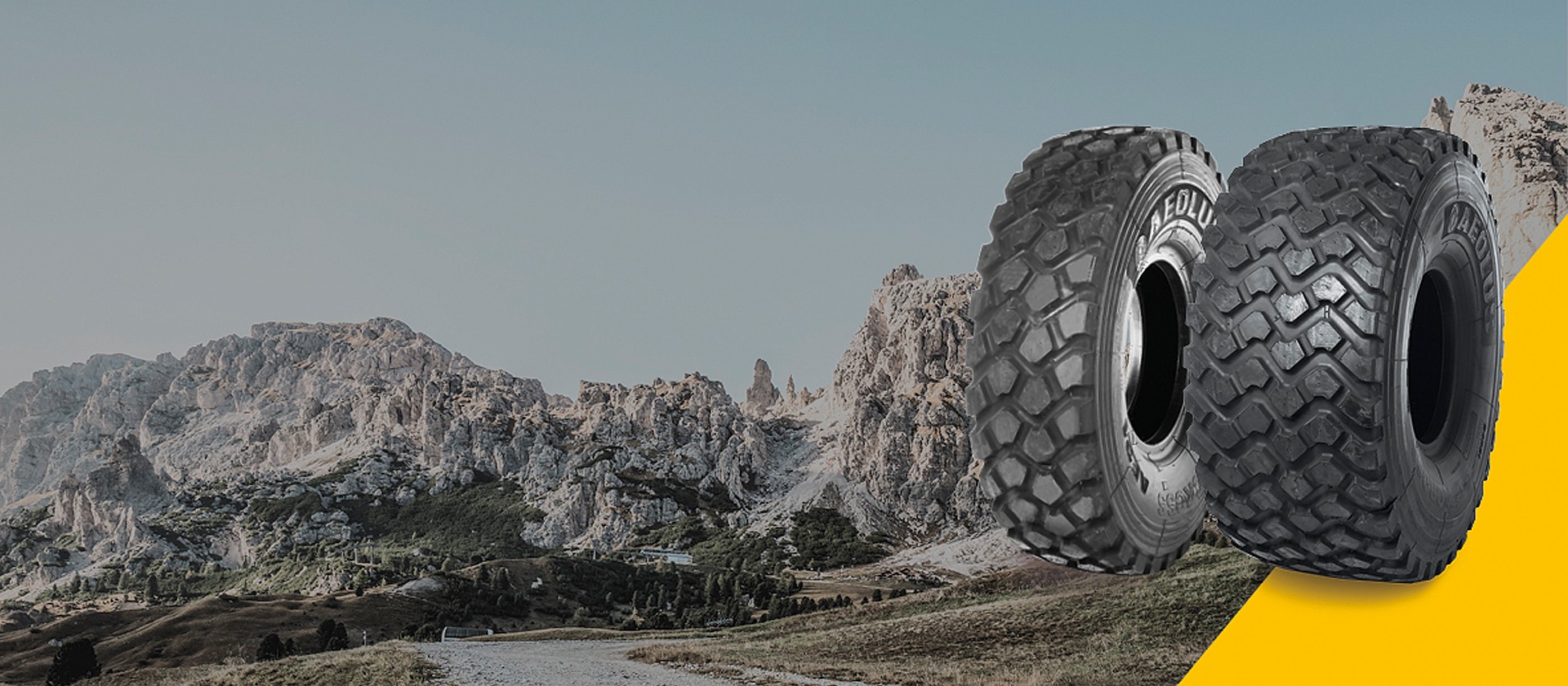 Aeolus AE21: Der robuste und flexible Geländereifen schlechthin